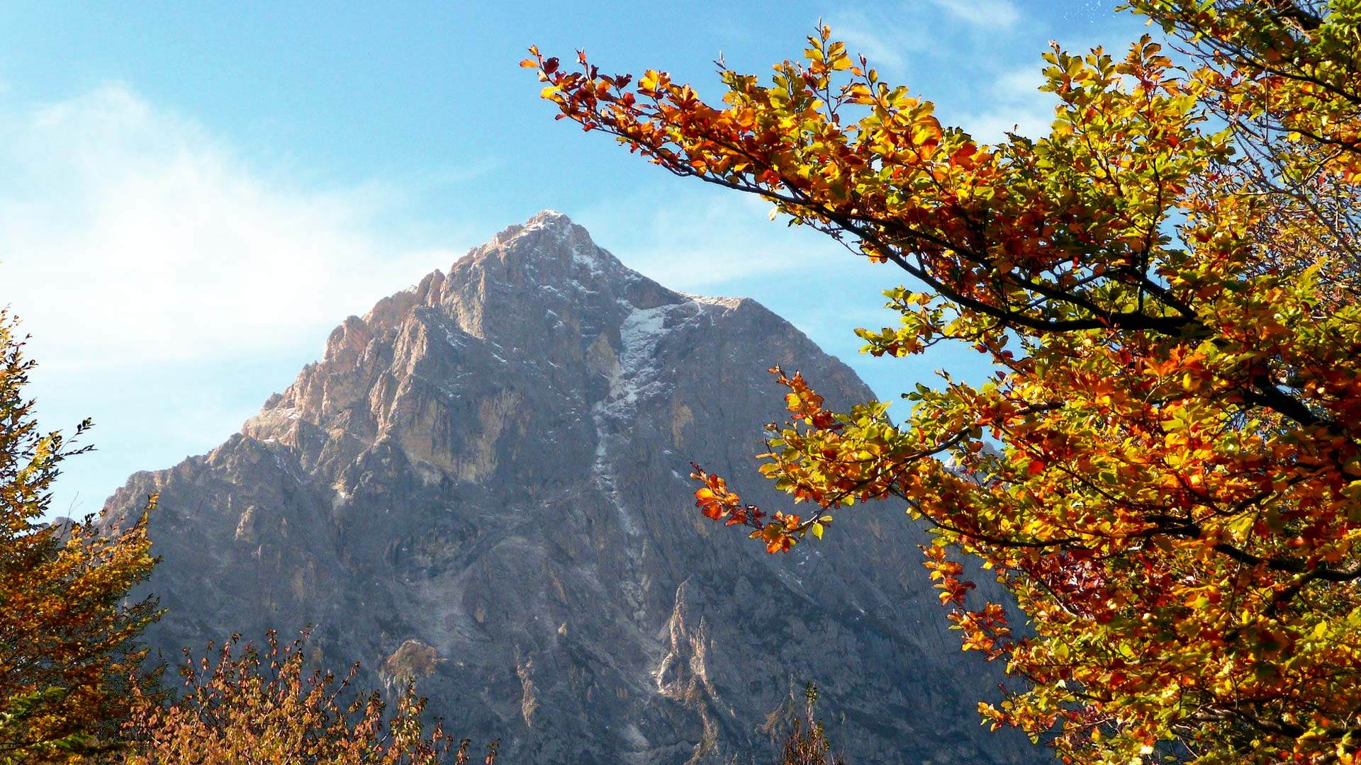Aziende Marchigiane